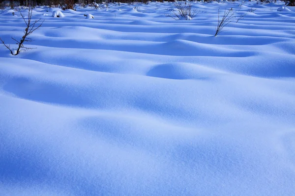 Paesaggio invernale — Foto Stock