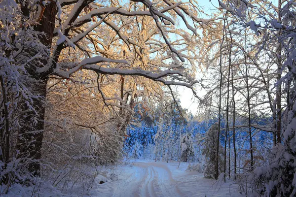 Paesaggio invernale — Foto Stock