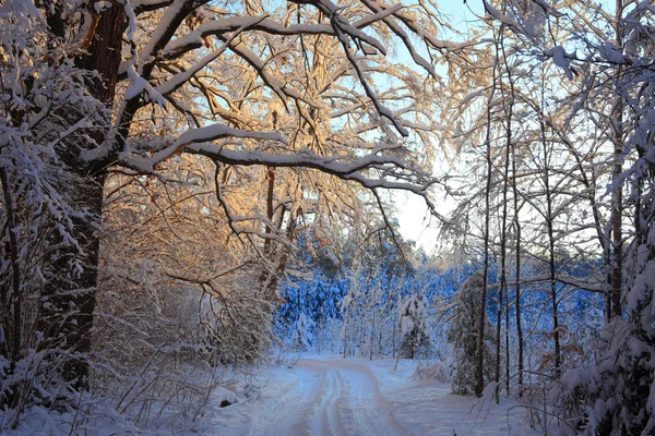 Paesaggio invernale — Foto Stock