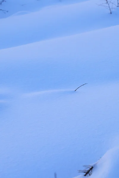 Winterlandschap — Stockfoto