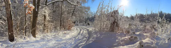 Winterlandschap — Stockfoto