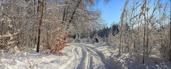 Paesaggio invernale — Foto Stock