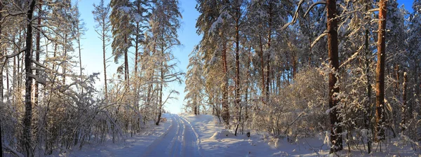 Paesaggio invernale — Foto Stock