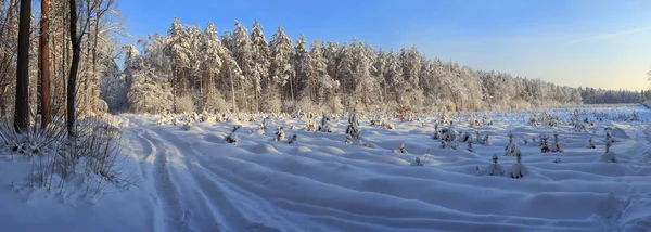 Paesaggio invernale — Foto Stock