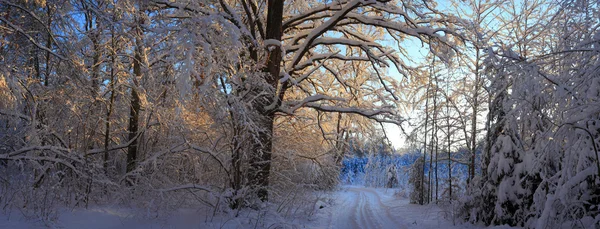 Paesaggio invernale — Foto Stock