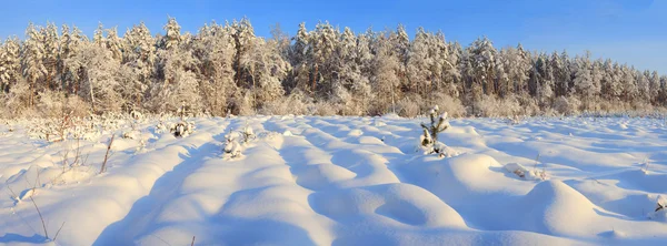 Paisaje invierno —  Fotos de Stock