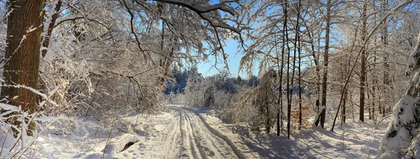 Paisagem inverno — Fotografia de Stock