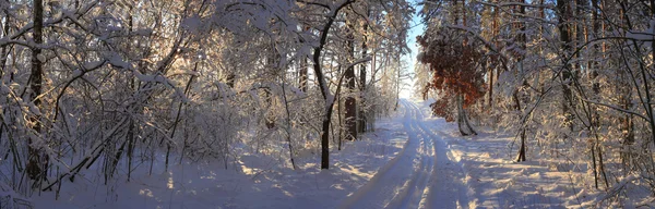 Paesaggio invernale — Foto Stock