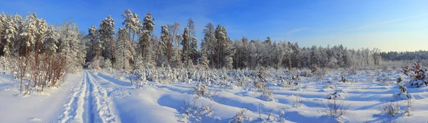 Paisagem inverno — Fotografia de Stock