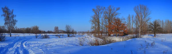 Paesaggio invernale — Foto Stock