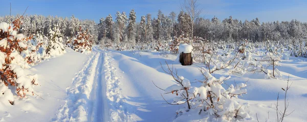 Paisagem inverno — Fotografia de Stock