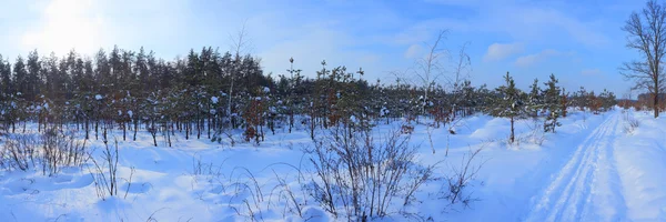 Paesaggio invernale — Foto Stock