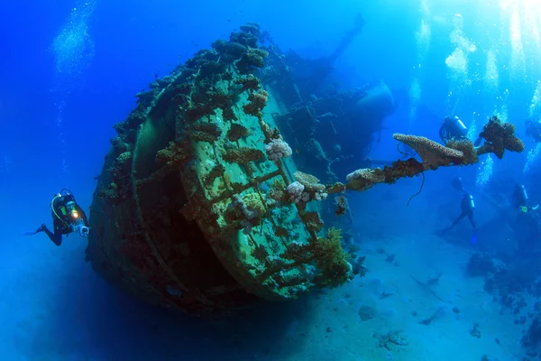 Marine Life in the Red Sea — Stock Photo, Image