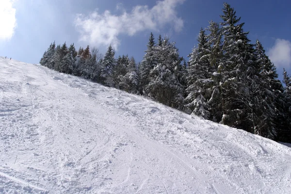 Paesaggio invernale — Foto Stock