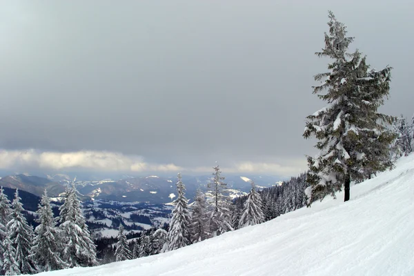 Paesaggio invernale — Foto Stock