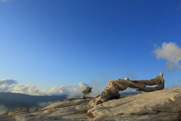 Nationaal park Yosemite — Stockfoto