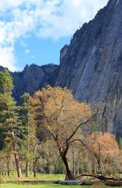 Yosemitský národní park — Stock fotografie