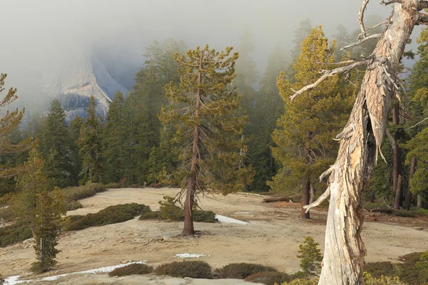 Yosemitský národní park — Stock fotografie