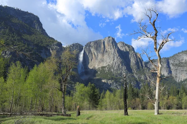 Parco nazionale dello Yosemite — Foto Stock