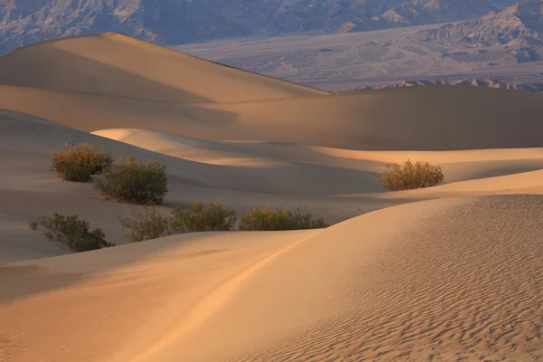 Death Valley — Stock fotografie