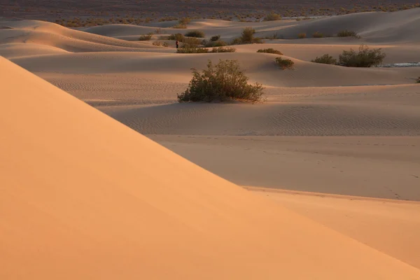 Death Valley — Stock Photo, Image