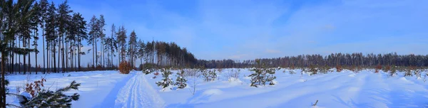 Paesaggio invernale — Foto Stock