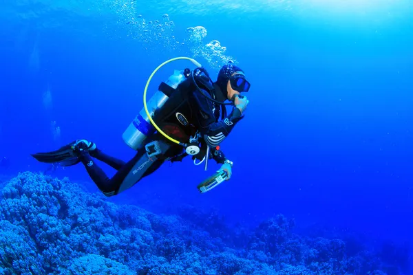 紅海での海洋生物 — ストック写真