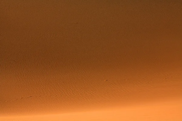 Dune di sabbia — Foto Stock