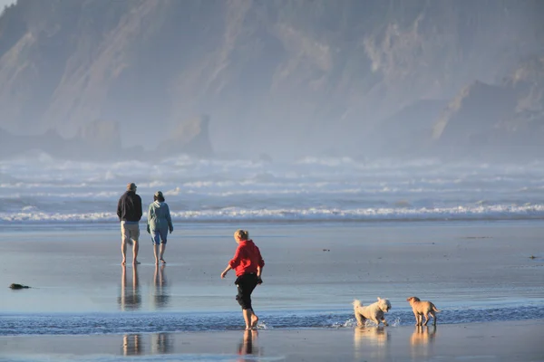 Costa do Oregon — Fotografia de Stock