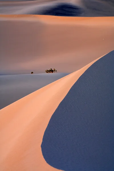 Sand Dunes — Stock Photo, Image