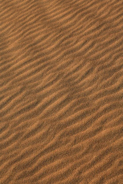 Sanddünen — Stockfoto