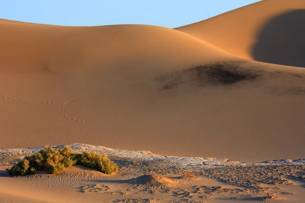 Dunas de areia — Fotografia de Stock