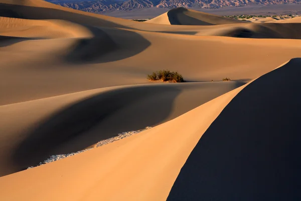 Sand Dunes — Stock Photo, Image