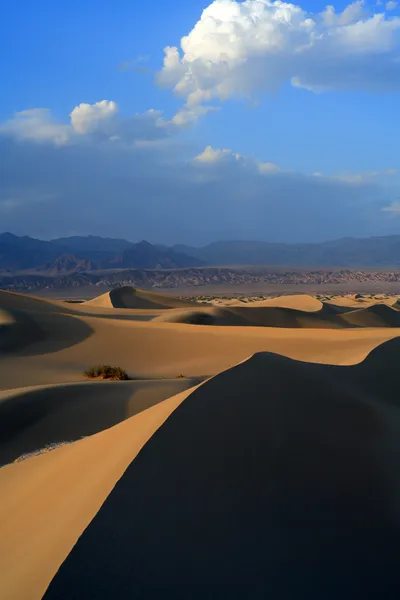 Dune di sabbia — Foto Stock