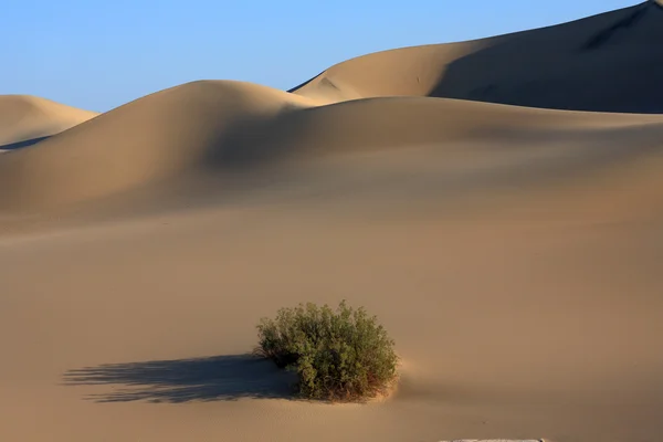 Dunas de areia — Fotografia de Stock