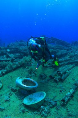 Kızıl denizdeki deniz yaşamı
