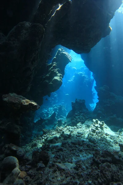 Kızıl denizdeki deniz yaşamı — Stok fotoğraf