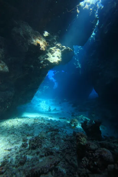 Kızıl denizdeki deniz yaşamı — Stok fotoğraf