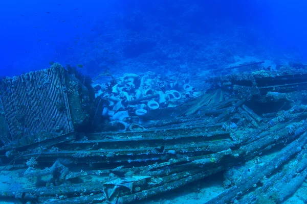 Kızıl denizdeki deniz yaşamı