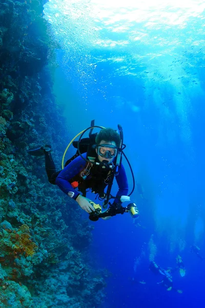 Meereslebewesen im Roten Meer — Stockfoto