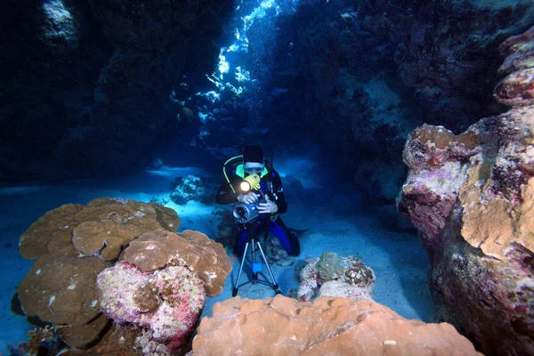 Marine Life in the Red Sea — Stock Photo, Image