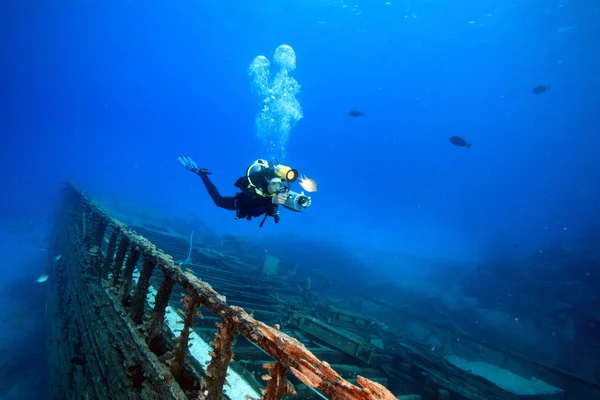 Mořský život v červeném moři — Stock fotografie