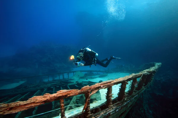 Mořský život v červeném moři — Stock fotografie