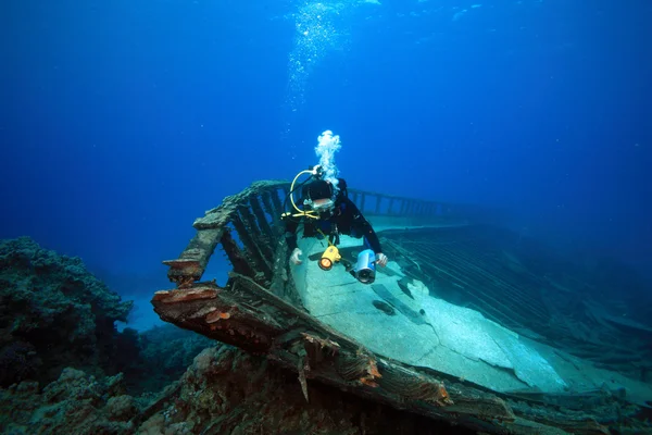 Marine Life in the Red Sea — Stock Photo, Image