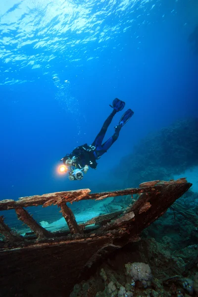 Marine Life in the Red Sea — Stock Photo, Image