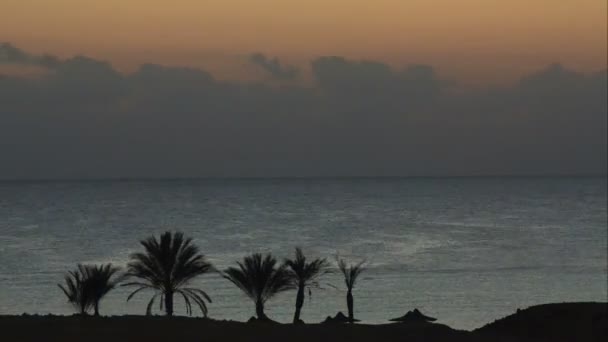 Coucher de soleil sur la plage Time Lapse . — Video