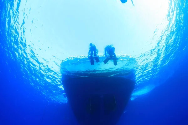 红海中的海洋生物 — 图库照片