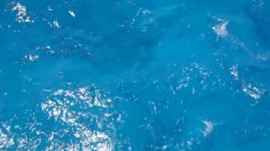 Kızıl denizin dalgaları oynama