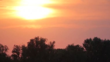 ağaçlar ve gün batımı