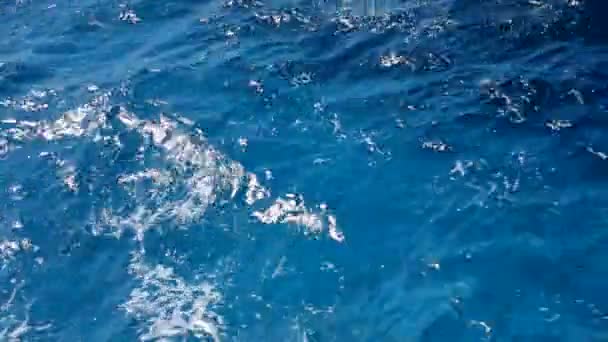 Jugando en las olas del Mar Rojo — Vídeo de stock